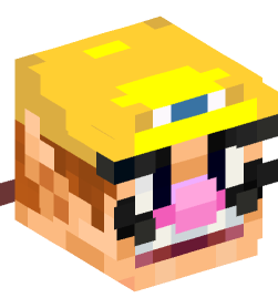 Minecraft head — People