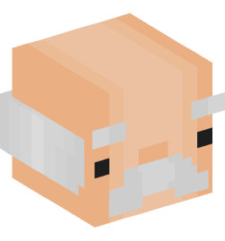 Minecraft head — People