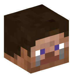 Minecraft head — People