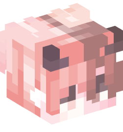 Minecraft head — Creatures