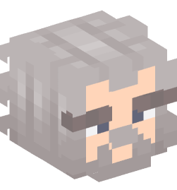 Minecraft head — People