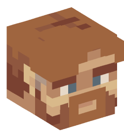 Minecraft head — People