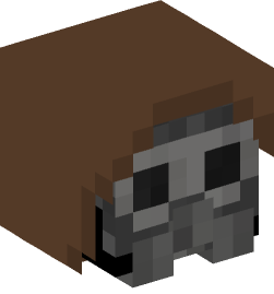 Minecraft head — People