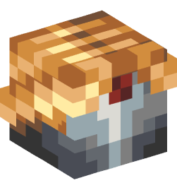 Minecraft head — Decor