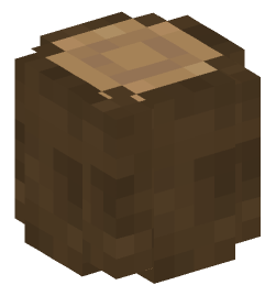 Minecraft head — Blocks