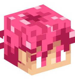 Minecraft head — People