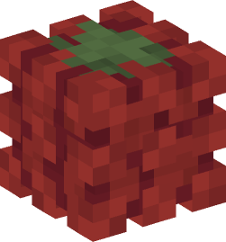 Minecraft head — Plants