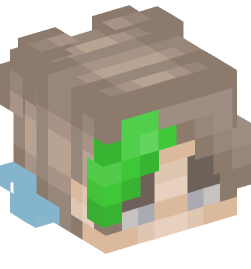 Minecraft head — People