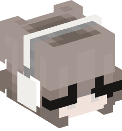 Minecraft head — People