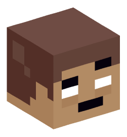 Minecraft head — Miscellaneous