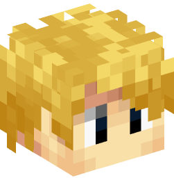 Minecraft head — People