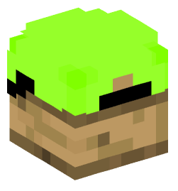 Minecraft head — Decor