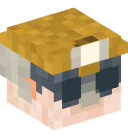 Minecraft head — People