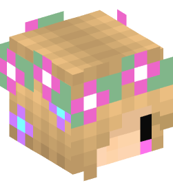 Minecraft head — People