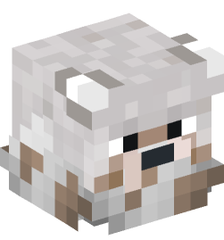 Minecraft head — Decor