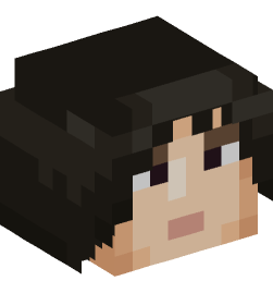 Minecraft head — People