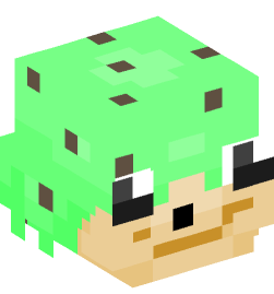 Minecraft head — Creatures