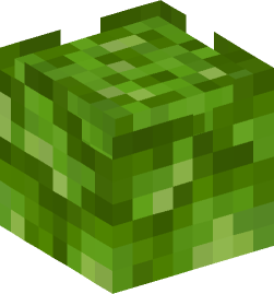 Minecraft head — Plants