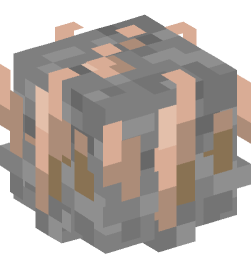 Minecraft head — Decor