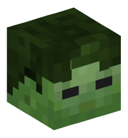 Minecraft head — Creatures