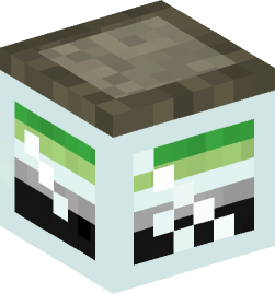 Minecraft head — Decor