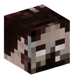 Minecraft head — Creatures