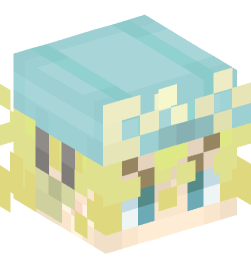 Minecraft head — People