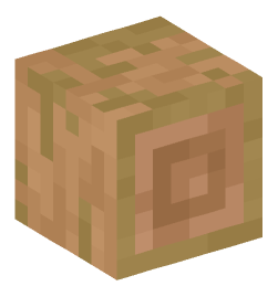 Minecraft head — Blocks