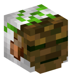 Minecraft head — People