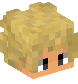 Minecraft head — People