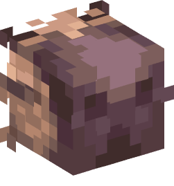 Minecraft head — Animals