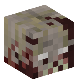 Minecraft head — Creatures