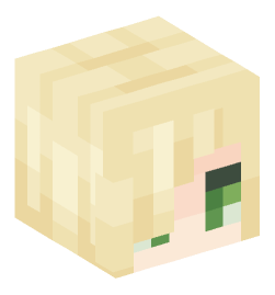 Minecraft head — People