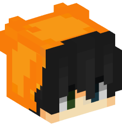 Minecraft head — People