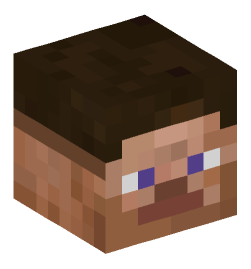 Minecraft head — People