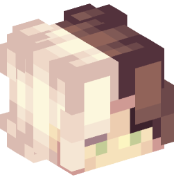 Minecraft head — People