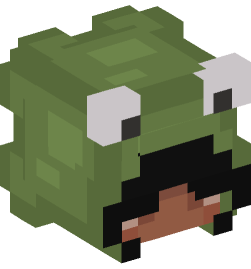 Minecraft head — People