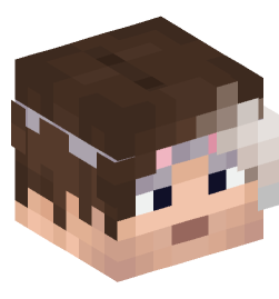 Minecraft head — People