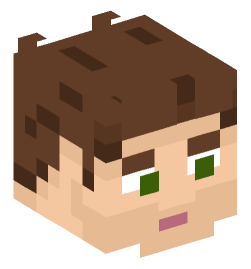 Minecraft head — People