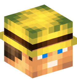 Minecraft head — People