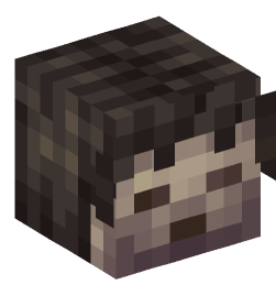 Minecraft head — Creatures