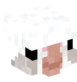 Minecraft head — Animals