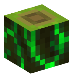 Minecraft head — Blocks