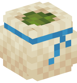 Minecraft head — Decor