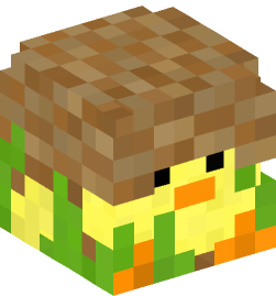 Minecraft head — Decor