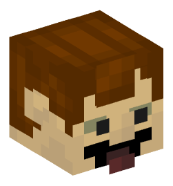 Minecraft head — People