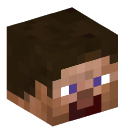 Minecraft head — People