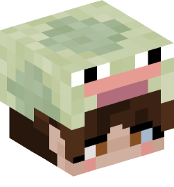 Minecraft head — People