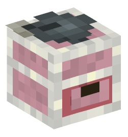 Minecraft head — Decor