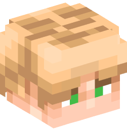 Minecraft head — People